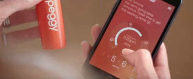 Foto - Bu mandal yağmuru önceden haber veriyor