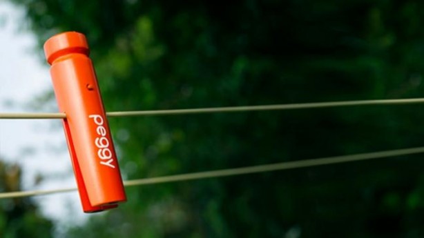 Foto - Bu mandal yağmuru önceden haber veriyor