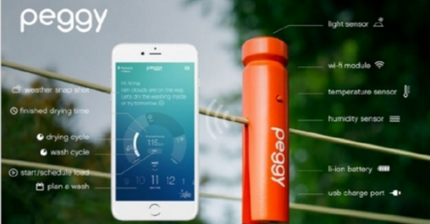 Foto - Bu mandal yağmuru önceden haber veriyor