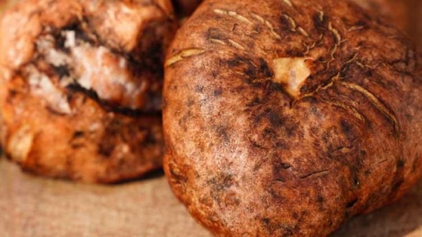 Foto - Bu mantar kadar sağlıklısı yok! Faydaları saymakla bitmiyor