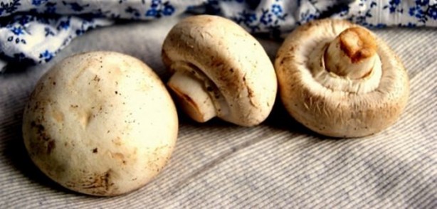 Foto - Bu mantarın kilosu 800 TL!