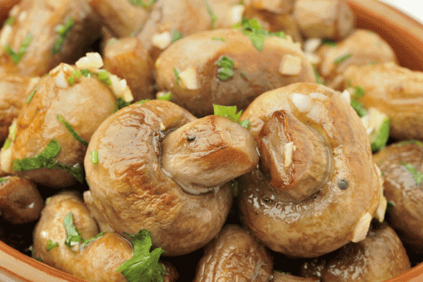 Foto - Bu mantarın kilosu 800 TL!