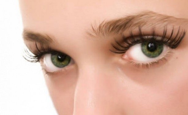 Foto - Bu mantarın kilosu 800 TL!