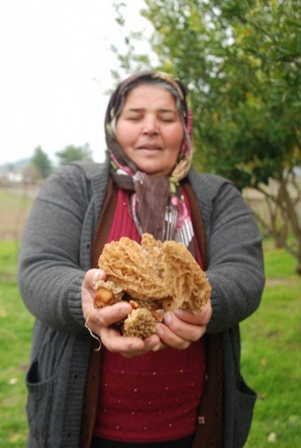 Foto - Bu mantarın kilosu 800 TL!