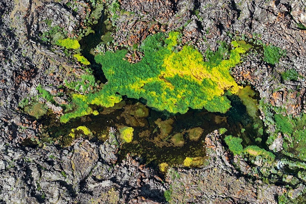 Foto - Bu manzara başka ülkede değil Türkiye’de