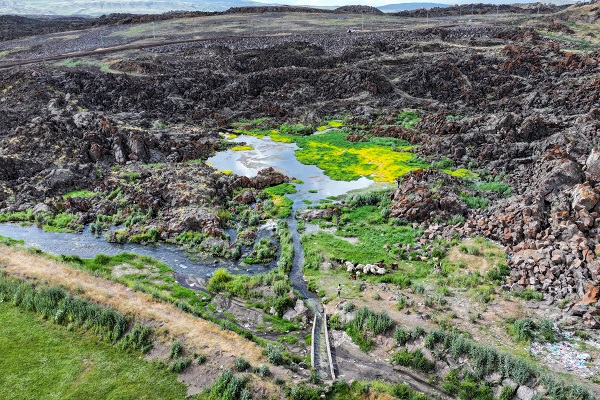 Foto - Bu manzara başka ülkede değil Türkiye’de