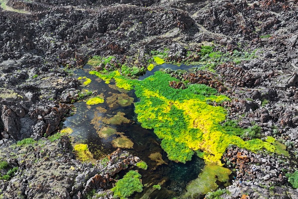 Foto - Bu manzara başka ülkede değil Türkiye’de