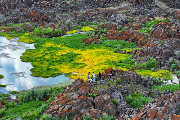 Foto - Bu manzara başka ülkede değil Türkiye’de