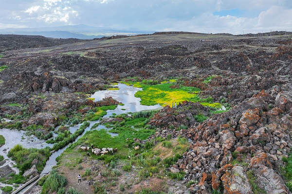 Foto - Bu manzara başka ülkede değil Türkiye’de