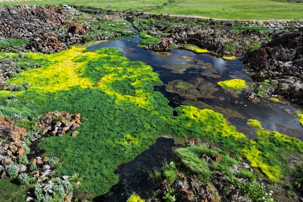 Foto - Bu manzara başka ülkede değil Türkiye’de