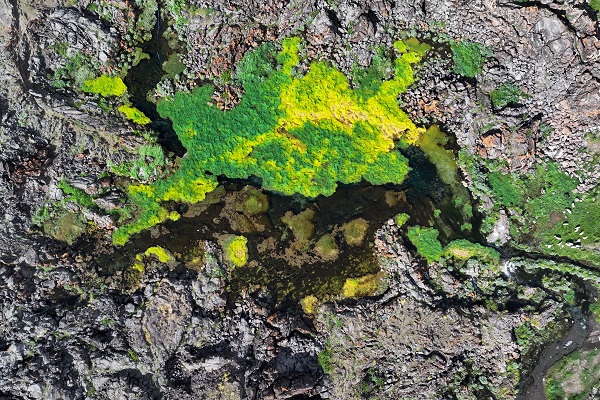 Foto - Bu manzara başka ülkede değil Türkiye’de