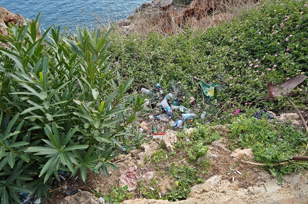 Foto - Bu manzara görenleri çileden çıkardı
