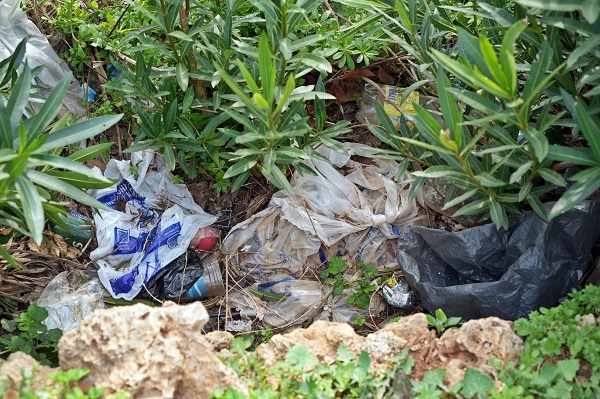 Foto - Bu manzara görenleri çileden çıkardı