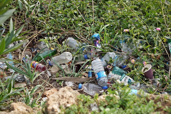 Foto - Bu manzara görenleri çileden çıkardı