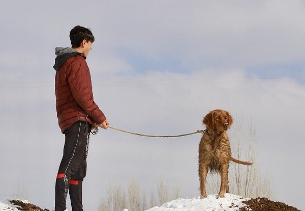 Foto - Bu manzara göz kamaştırıyor