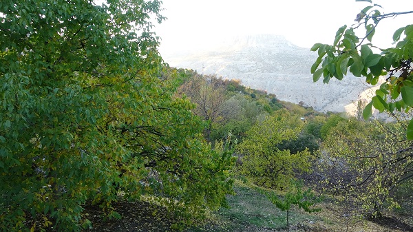 Foto - Bu manzara göz kamaştırıyor