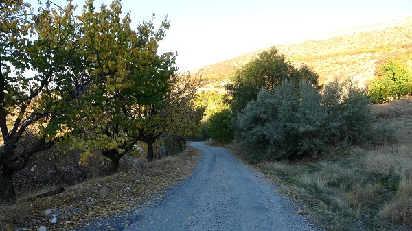 Foto - Bu manzara göz kamaştırıyor