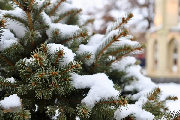 Foto - Bu manzara göz kamaştırıyor