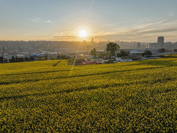 Foto - Bu manzara herkesi mest etti