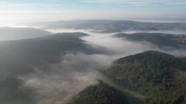 Foto - Bu manzara mest etti