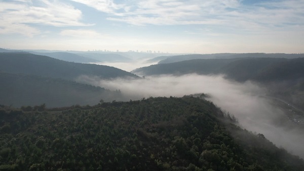 Foto - Bu manzara mest etti