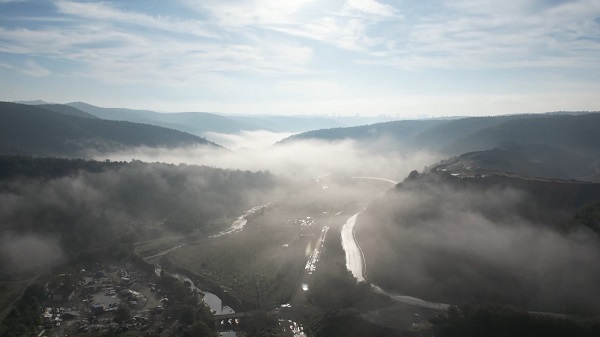 Bu manzara mest etti