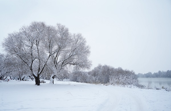 Foto - Bu manzara nefes kesti! 