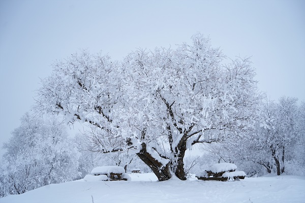 Foto - Bu manzara nefes kesti! 