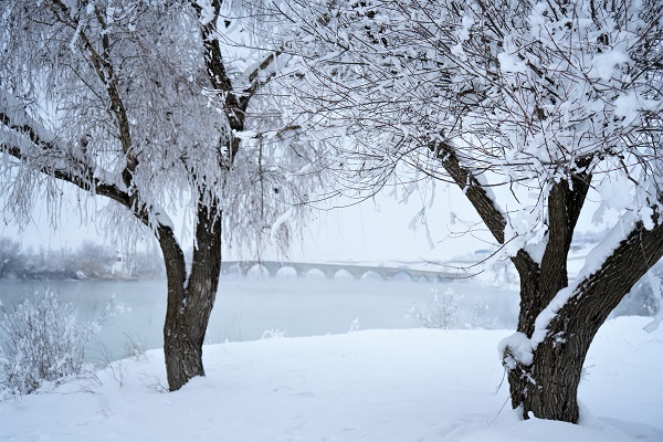 Foto - Bu manzara nefes kesti! 
