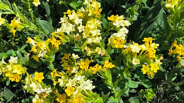 Foto - Bu manzara nefesleri kesiyor! 