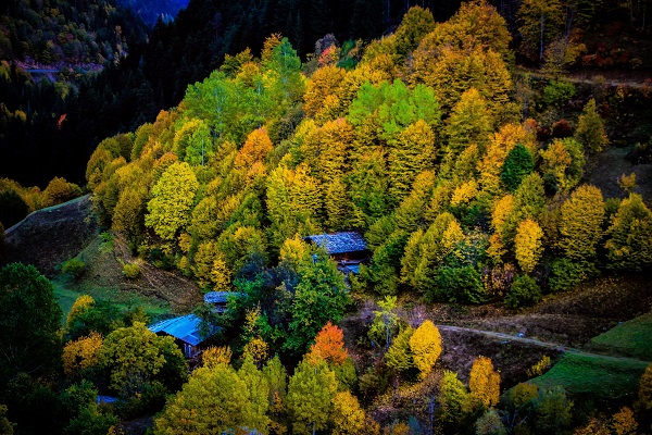 Foto - Bu manzara hayran bırakıyor