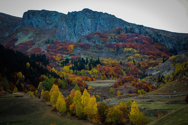 Foto - Bu manzara hayran bırakıyor