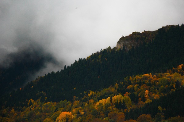 Foto - Bu manzara hayran bırakıyor