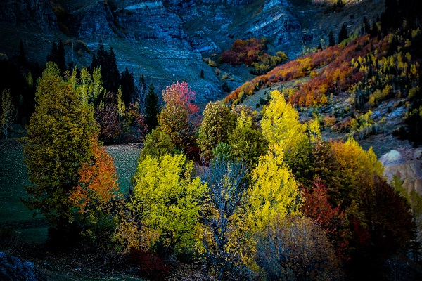 Foto - Bu manzara hayran bırakıyor