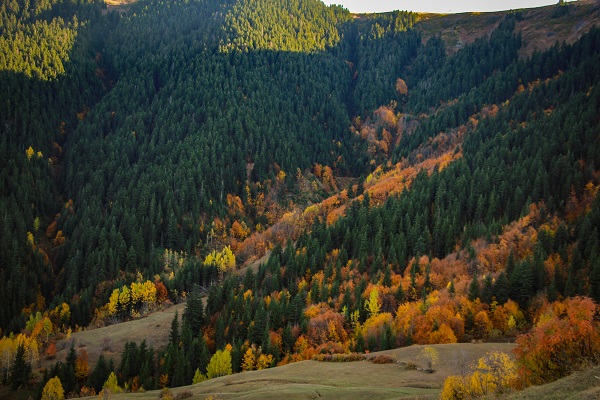 Foto - Bu manzara hayran bırakıyor