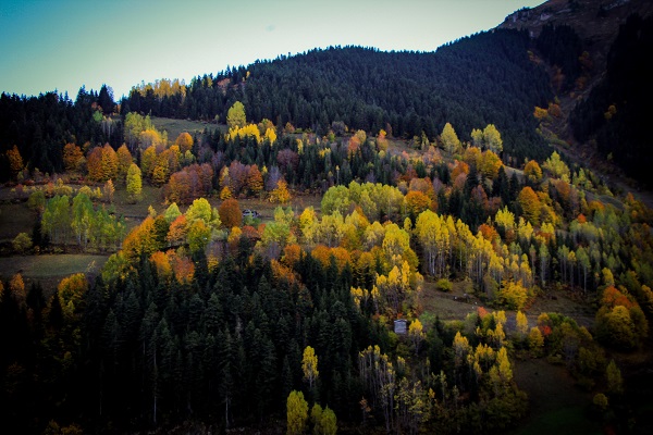 Foto - Bu manzara hayran bırakıyor