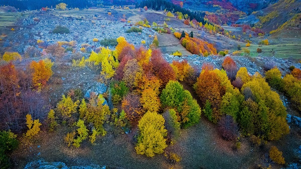 Foto - Bu manzara hayran bırakıyor
