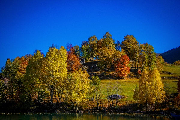 Foto - Bu manzara hayran bırakıyor