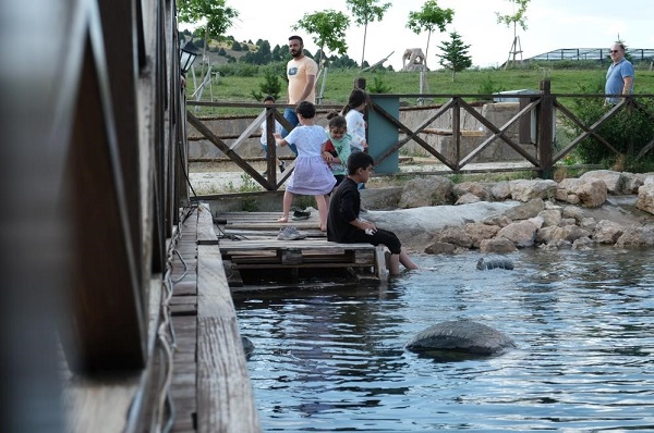 Foto - Bu manzaraya hayran kalmamak elde değil