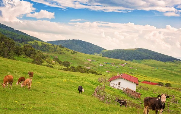 Foto - Bu manzaraya hayran kalmamak mümkün değil! Burası Alpler değil Türkiye
