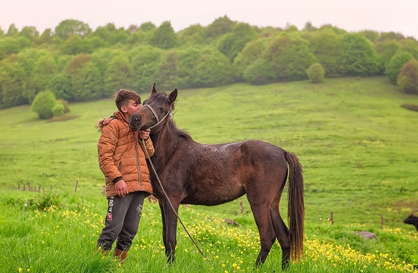 Foto - Bu manzaraya hayran kalmamak mümkün değil! Burası Alpler değil Türkiye