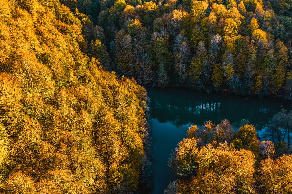 Foto - Bu manzaraya herkes hayran kalıyor