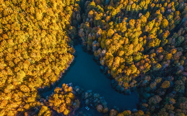 Foto - Bu manzaraya herkes hayran kalıyor