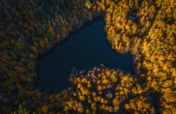 Foto - Bu manzaraya herkes hayran kalıyor