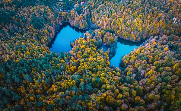 Foto - Bu manzaraya herkes hayran kalıyor