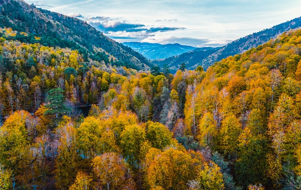 Foto - Bu manzaraya herkes hayran kalıyor