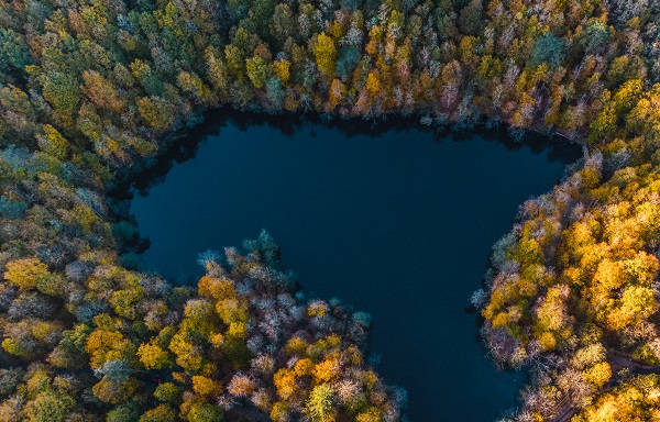 Foto - Bu manzaraya herkes hayran kalıyor