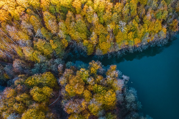 Foto - Bu manzaraya herkes hayran kalıyor
