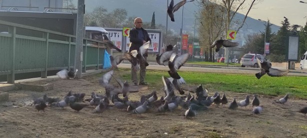 Foto - Bu marketten ne alırsan bedava!