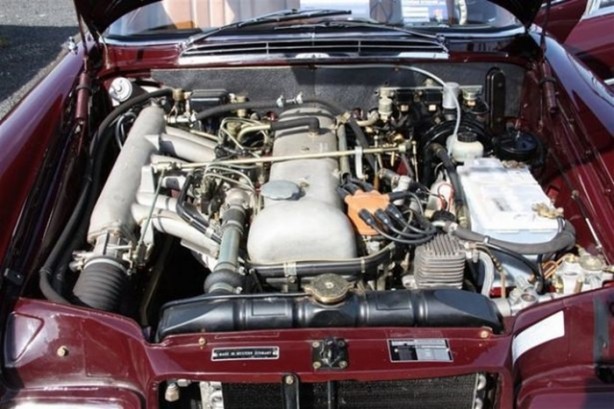 Foto - Bu Mercedes'leri hiç görmediniz!